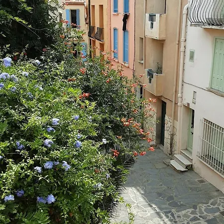 Nyaraló Jetez L'ancre Dans Notre Maison De Pecheur ! Collioure